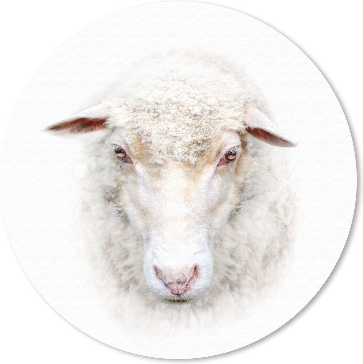 Muismat rond 40x40 cm - Mousepad Schaap - Portret - Wol - Ronde muismatten