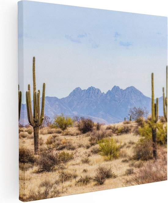 Artaza Canvas Schilderij Cactussen in de Woestijn - 70x70 - Foto Op Canvas - Canvas Print