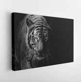 Canvas schilderij - Black and white Tiger portrait in front of black background -     1152210536 - 115*75 Horizontal