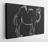 Canvas schilderij - Graphical sketch of camel isolated on black, vector engraved illustration, doodle drawing  -     1752984344 - 40*30 Horizontal