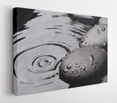 Canvas schilderij - Zen stones on wet black background  -     176962433 - 80*60 Horizontal