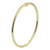 Bangle Scharnier Massief Ronde Buis 3 Mm