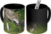 Magische Mok - Foto op Warmte Mokken - Koffiemok - Wolf - Baby - Gras - Magic Mok - Beker - 350 ML - Theemok