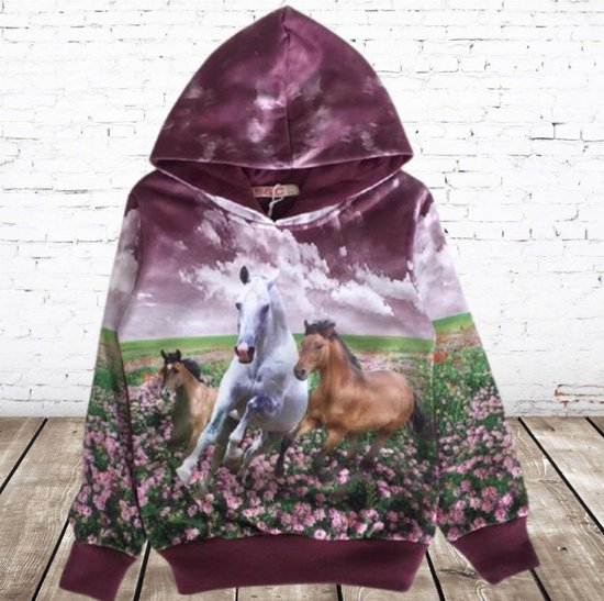 Hoodie paarden Turquoise