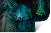 Stickers Stickers muraux - Jungle - Feuilles - Vert - Blauw - 60x40 cm - Feuille adhésive