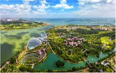 Luchtfoto van de Supertree Grove van Singapore - Foto op Forex - 90 x 60 cm
