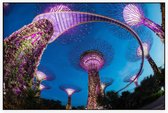 Neon verlichte tuinstad Gardens by the Bay in Singapore - Foto op Akoestisch paneel - 90 x 60 cm