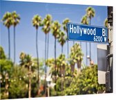 Palmbomen op Hollywood Boulevard in Los Angeles - Foto op Plexiglas - 90 x 60 cm