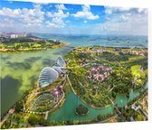Luchtfoto van de Supertree Grove van Singapore - Foto op Plexiglas - 90 x 60 cm