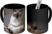 Magische Mok - Foto op Warmte Mokken - Koffiemok - Poes - Vacht - Bruin - Magic Mok - Beker - 350 ML - Theemok