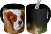 Magische Mok - Foto op Warmte Mok -  een Cavalier King Charles-spaniël - 350 ML