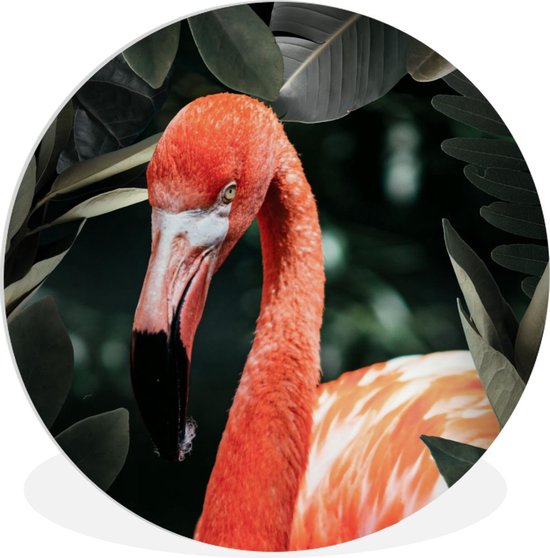 Wall Circle - Wall Circle Indoor - ⌀ 140 cm - Plastique - Flamingo - Feuilles - Portrait