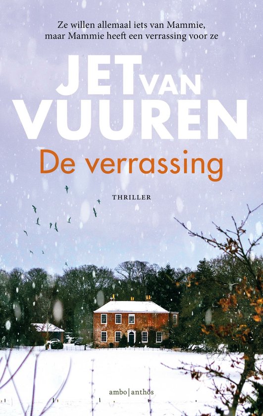 De verrassing - cover