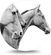Maison de France - Dibond  Paarden - wit dibond / rond - 60 cm