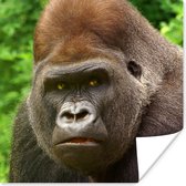 Poster Close-up van het gezicht van een mannelijke gorilla - 30x30 cm