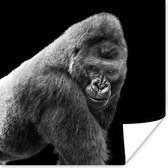 Poster Een schitterende Gorilla kijkt naar beneden - 75x75 cm