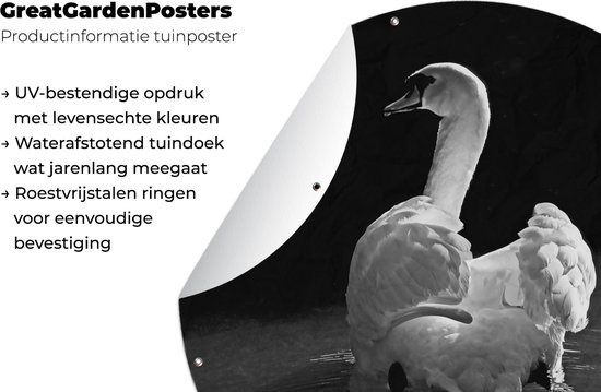 Garden Circle Cygne Witte - 60x60 cm - Affiche de Jardin Ronde - Extérieur