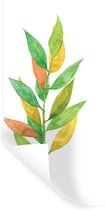 Muurstickers - Sticker Folie - Waterverf - Bladeren - Planten - 80x160 cm - Plakfolie - Muurstickers Kinderkamer - Zelfklevend Behang - Zelfklevend behangpapier - Stickerfolie