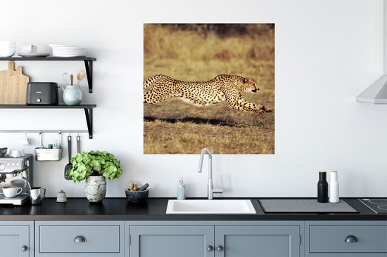 Stickers Stickers muraux - Vue de face femelle guépard - 80x80 cm - Film adhésif