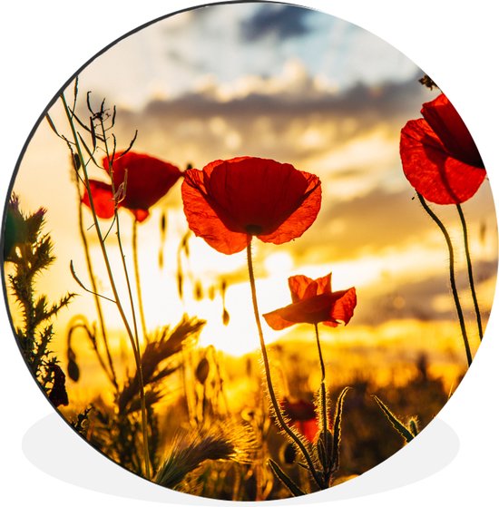 Cercle mural - Cercle mural - Coquelicots rouges au lever du soleil - Aluminium - ⌀ 60 cm - Intérieur et Extérieur
