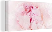 Canvas schilderij 160x80 cm - Wanddecoratie Close-up van een dichte roze pioenroos - Muurdecoratie woonkamer - Slaapkamer decoratie - Kamer accessoires - Schilderijen