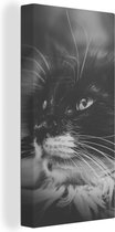 Tableau sur toile représentant un chat de profil regardant de côté en noir et blanc - 20x40 cm - Décoration murale