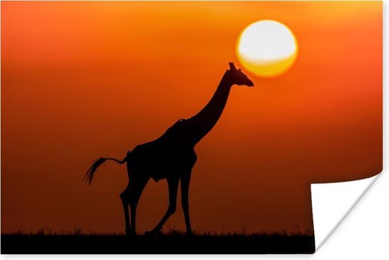 Giraffe bij zonsondergang Poster 60x40 cm - Foto print op Poster (wanddecoratie woonkamer / slaapkamer) / Afrika Poster