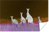 Kangoeroefamilie Poster 180x120 cm - Foto print op Poster (wanddecoratie woonkamer / slaapkamer) / Wilde dieren Poster XXL / Groot formaat!