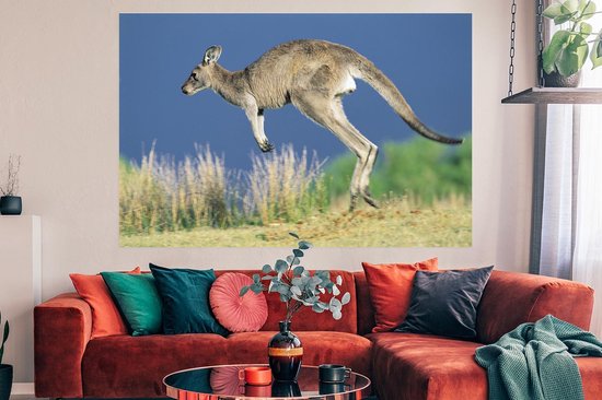 Poster Kangourou bondissant 150x75 cm - Tirage photo sur Poster (décoration  murale... | bol.com