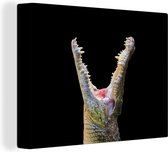 Canvas Schilderij Krokodil - Close up - Dieren - 80x60 cm - Wanddecoratie
