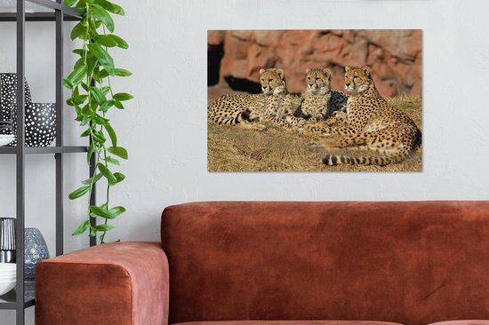 Canvas Schilderij Cheetah moeder en welpen - 90x60 cm - Wanddecoratie