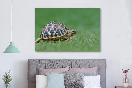 Canvas schilderij 180x120 cm - Wanddecoratie Schildpad op gras - Muurdecoratie woonkamer - Slaapkamer decoratie - Kamer accessoires - Schilderijen