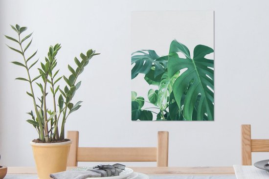 Peintures sur toile - Énormes feuilles botaniques de la plante trouée - 30x40 cm - Décoration murale