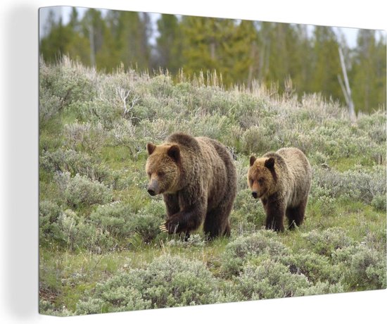Tableau sur toile Yellowstone - Ours - Herbe - 150x100 cm - Décoration murale