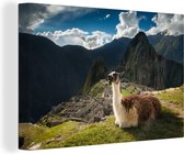 Alpaga sur toile Machu Picchu 120x80 cm - Tirage photo sur toile (Décoration murale salon / chambre)