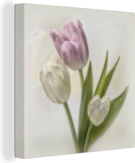 Canvas Schilderij Roze en witte tulpen op een witte achtergrond - 90x90 cm - Wanddecoratie