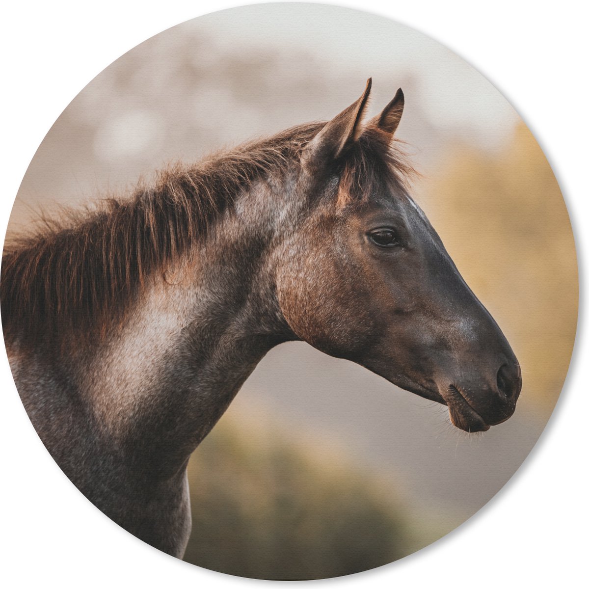 Muismat rond 20x20 cm - Mousepad Paard - Bos - Portret - Ronde muismatten