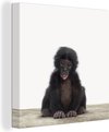 Baby Chimpansee