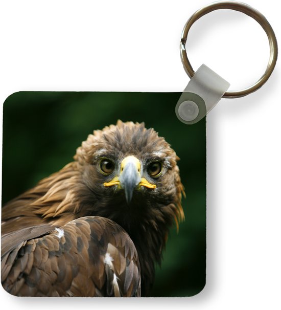 Porte-clés - Aigle - Marron - Oiseau de proie - Plastique - Rond