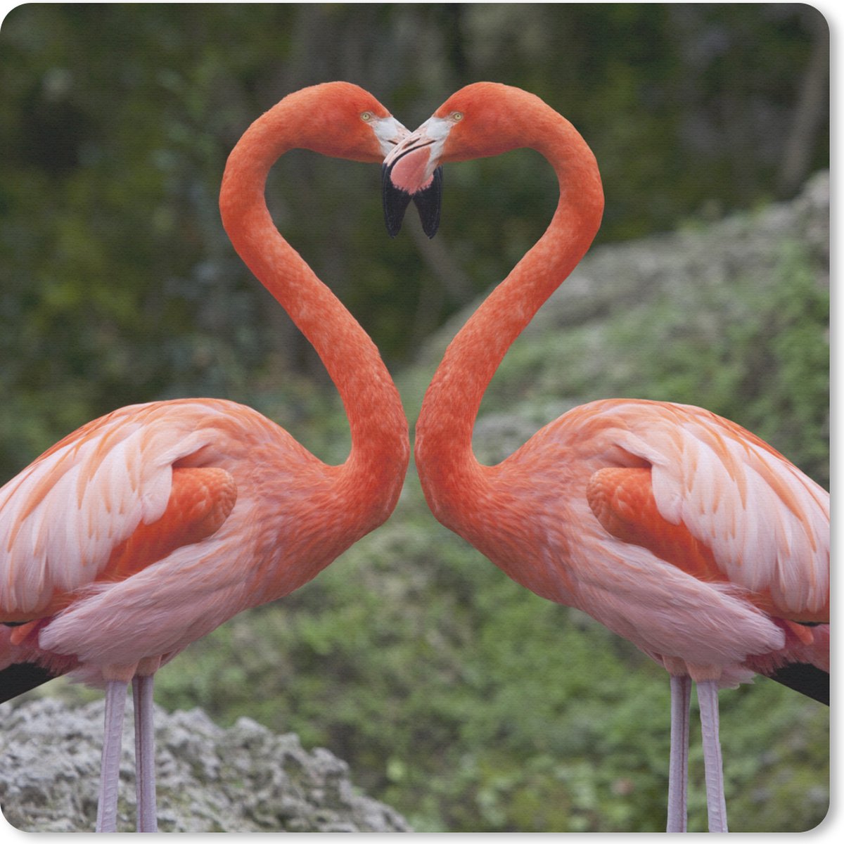 Muismat 30x30 cm - Mousepad Twee flamingo's vormen een hart - Muismatten