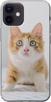 Geschikt voor iPhone 12 hoesje - Kitten - Blauw - Oranje - Meisjes - Kinderen - Jongens - Kind - Siliconen Telefoonhoesje