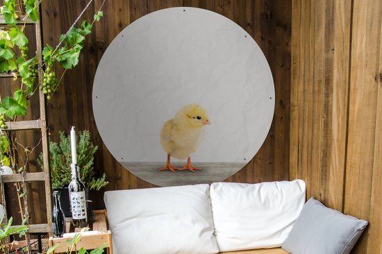 Tuincirkel Kuiken - Dieren - Jongens - Meisjes - Kinderen - 120x120 cm - Ronde Tuinposter - Buiten XXL / Groot formaat!