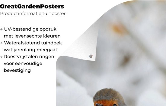 Affiche jardin Neige - Robin - Branche - 30x60 cm