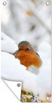 Tuinposter Sneeuw - Roodborstje - Tak - 30x60 cm - Tuindoek - Buitenposter