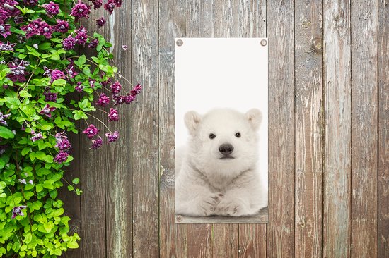 Affiche de jardin Ours polaire - Animaux - Enfants - Wit - Garçons - Filles - 30x60 cm - Toile jardin - Affiche extérieure