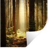 Stickers Stickers muraux - Forêt - Arbres - Soleil - 50x50 cm - Film adhésif