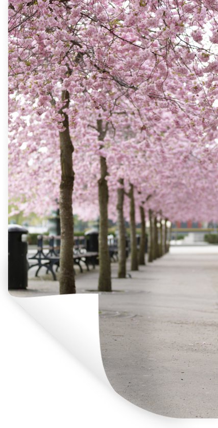 Stickers muraux - Printemps - Sakura - Arbres - 40x80 cm - Film Adhésif