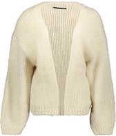 Vero Moda Vest Vmmaybe Ls Open Cardigan Ga Bf 10253091 Birch Dames Maat - M