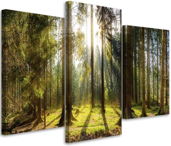 Trend24 - Canvas Schilderij - Zonnige Dag In Het Bos - Drieluik - Landschappen - 120x80x2 cm - Groen