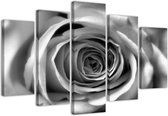 Trend24 - Canvas Schilderij - Rose Flower - Vijfluik - Bloemen - 200x100x2 cm - Grijs